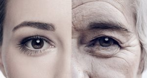 senescent cells aging